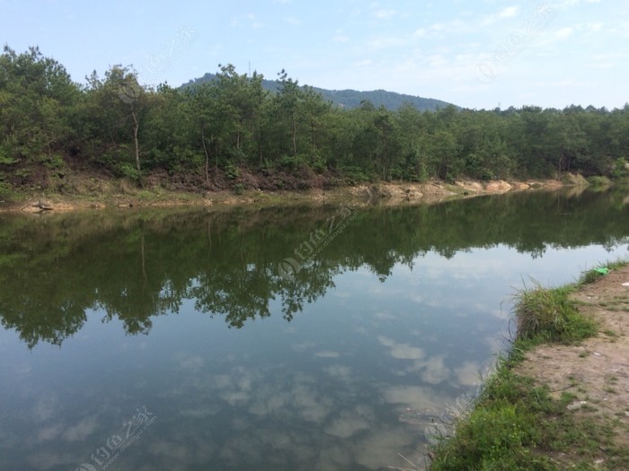 许寺村天气预报更新通知