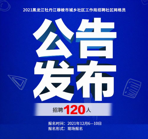 迎江区统计局最新招聘信息全面解析及招聘细节详解